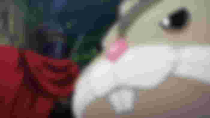 Is Hamsuke Boy or Girl in Overlord? -Does Hamsuke Betray Ainz in Overlord?