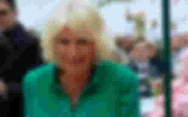 queen-consort-camilla-shock-prince-harry-claims-king-charles-wife-leaked-stories-to-the-press-as-part-of-her-long-term-strategy-to-her-marriage-the-crown