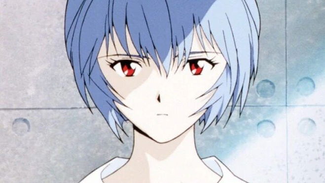 What are the Evas in Neon Genesis Evangelion
