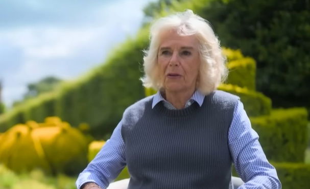 queen-consort-camilla-shock-prince-harry-claims-king-charles-wife-leaked-stories-to-the-press-as-part-of-her-long-term-strategy-to-her-marriage-the-crown