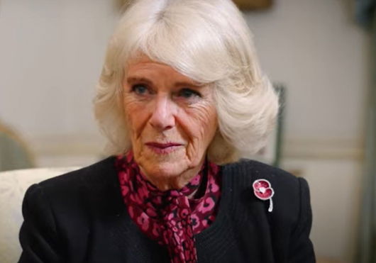 queen-consort-camilla-surprised-meghan-markle-with-a-nice-gesture-to-get-to-know-her-better-king-charles-iiis-wifes-efforts-reportedly-had-no-impact-on-duchess-of-sussex