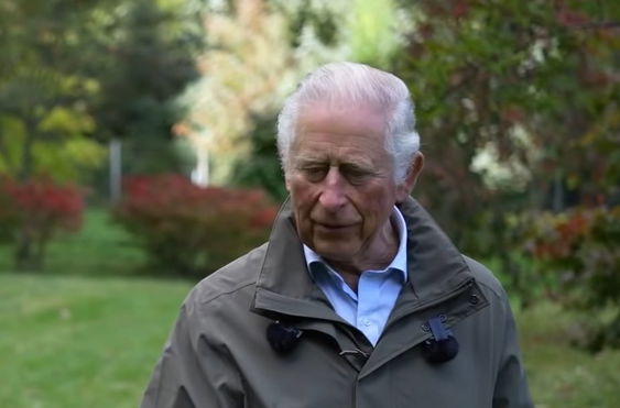 prince-charles-shock-camilla-parker-bowles-wife-wont-delegate-tasks-to-prince-william-kate-middleton-when-hes-king-heir-to-the-throne-reportedly-a-workaholic