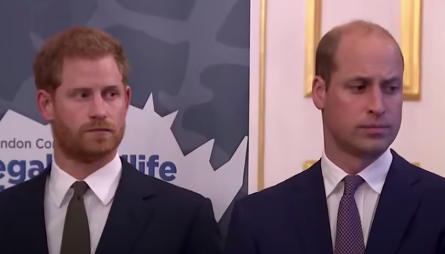 prince-harry-heartbreak-meghan-markles-husband-sees-relationship-dynamic-with-prince-william-in-kids-archie-and-a