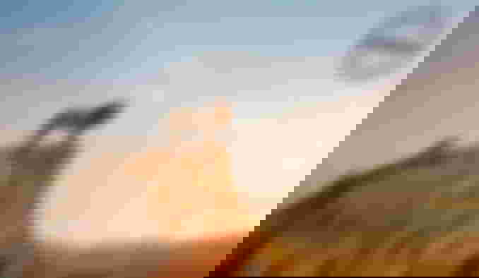 Image from Amazing New Images for Jon Favreau's The Lion King