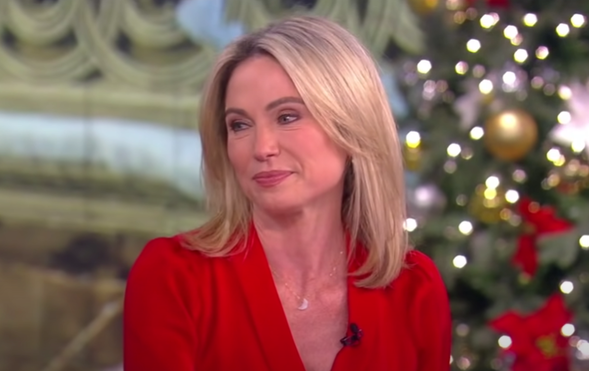 amy-robach-net-worth-see-the-life-and-career-of-the-now-controversial-abc-news-reporter