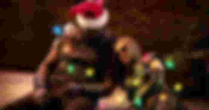 Guardians of the Galaxy Holiday Special First Reactions Are In: "A Lot of Fun," "Really Enjoyable"