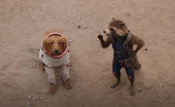 James Gunn Urges Fans To Do This Intellectual Thing After He Was Questioned About His Adaptation 