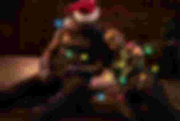 Image from James Gunn Teases Guardians' New Ship Name and Crew Member