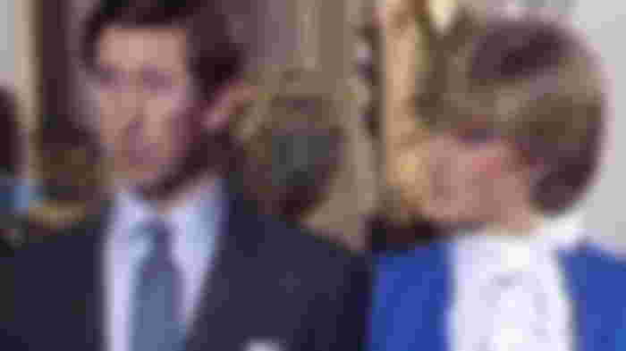 king-charles-welcomed-princess-dianas-affair-with-james-hewitt-monarch-allegedly-felt-his-ex-wifes-fling-distracted-her-from-his-relationship-with-queen-consort-camilla