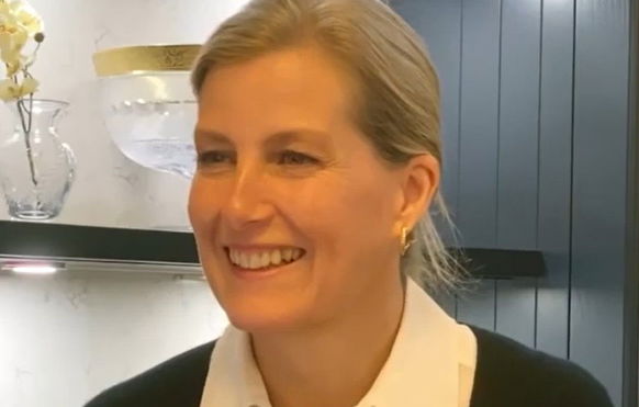 sophie-countess-of-wessex-shock-prince-edwards-wife-reportedly-wasnt-very-welcoming-toward-prince-harry-at-prince-philips-funeral-service-royal-expert-claims