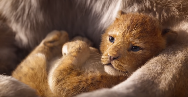Disney’s Bob Iger Apologizes to Elementary School for $250 The Lion King Bill 