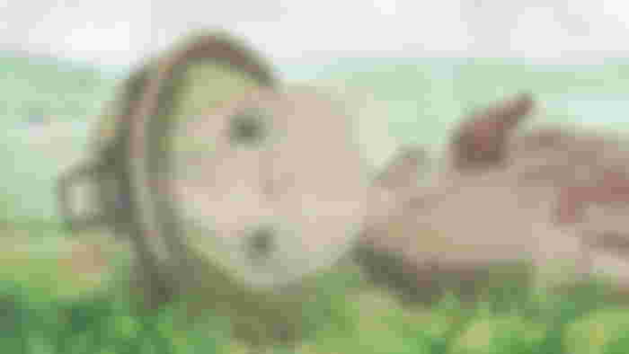 Made in Abyss Curse Explained -What is the Made in Abyss Curse?