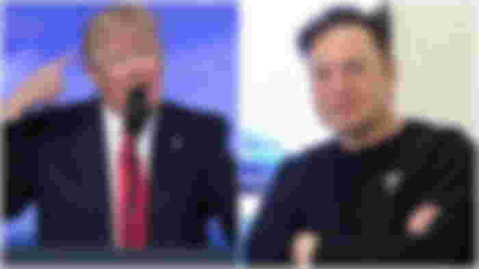 Donald Trump and Elon Musk