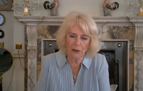 princess-diana-shock-prince-charles-ex-wife-reportedly-not-as-nice-as-camilla-parker-bowles-royal-biographer-claims
