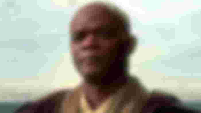 Samuel L. Jackson as Mace Windu