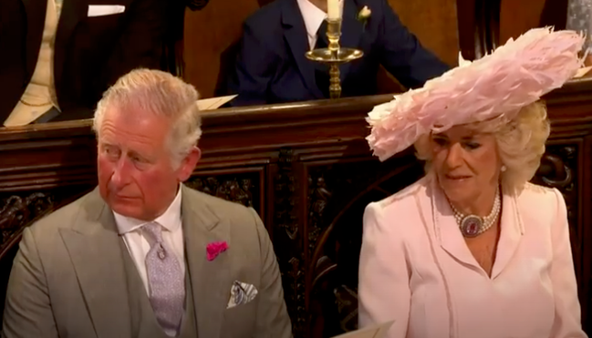 camilla-parker-bowles-shock-prince-harry-allegedly-has-not-forgiven-stepmom-for-affair-with-prince-charles-thinks-he-is-princess-dianas-defender-royal-expert-phil-dampier-claims
