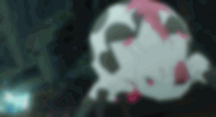So I'm a Spider, So What? Episode 15 Release Date and Time 1