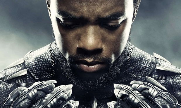 Black Panther Star Teases the Franchise's Future Beyond Wakanda Forever