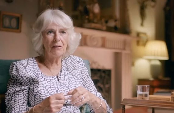 queen-consort-camilla-shock-king-charles-wife-allegedly-thinks-prince-harry-is-hypocritical-for-questioning-her-friendships-with-journalists-plans-to-fight-back