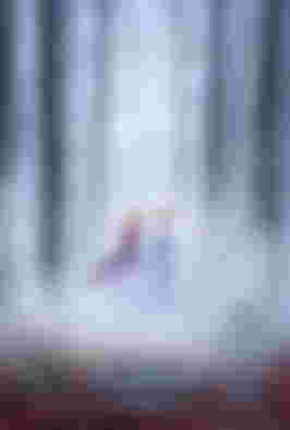Image from Full Frozen II Trailer Coming Tomorrow, New Poster Released