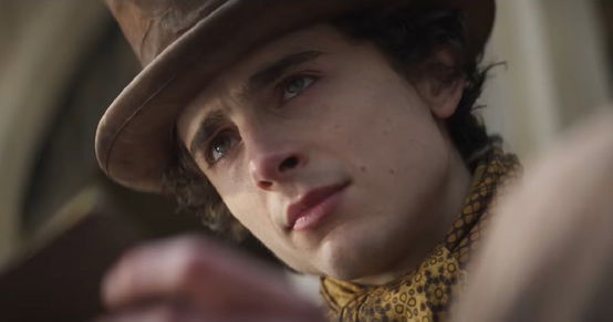 did timothee chalamet get arrested