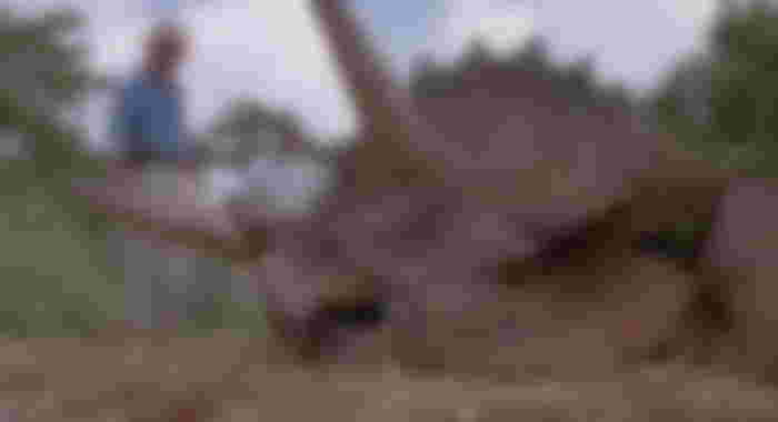 Jurassic World 3: Colin Trevorrow Shares Look at Baby Triceratops