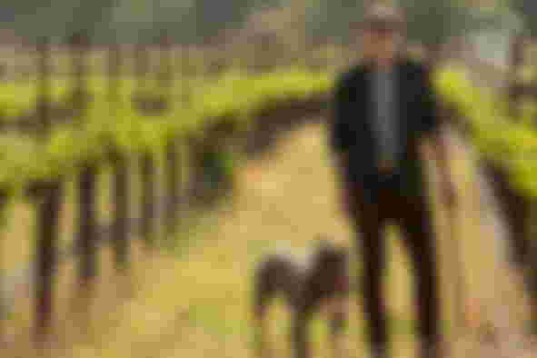 Image from Star Trek: Picard Gets New Photo and Character Description