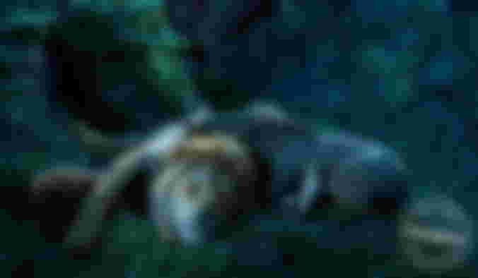Image from Amazing New Images for Jon Favreau's The Lion King