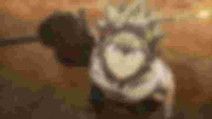 15 Anime Like Demon Slayer You Should Be Watching: Black Clover