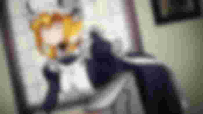 What is Harem in the Labyrinth of Another World Episodes All About