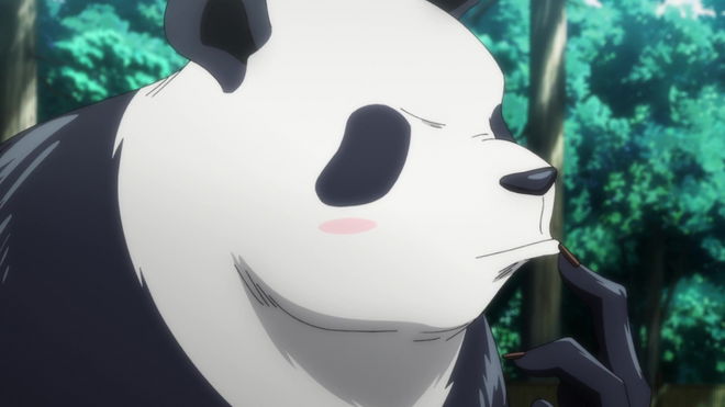 Panda in Jujutsu Kaisen Chapter 185