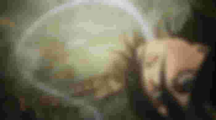 What is the Rumbling in the Attack on Titan Manga?
