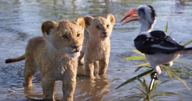 Lion King Prequel/Sequel Nabs Moonlight Director