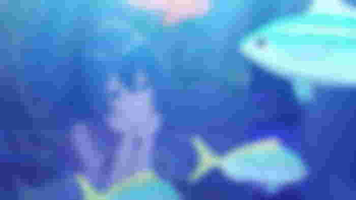 Is Aquatope of White Sand Based on a Manga and Is It Complete, Finished, or Ongoing 1