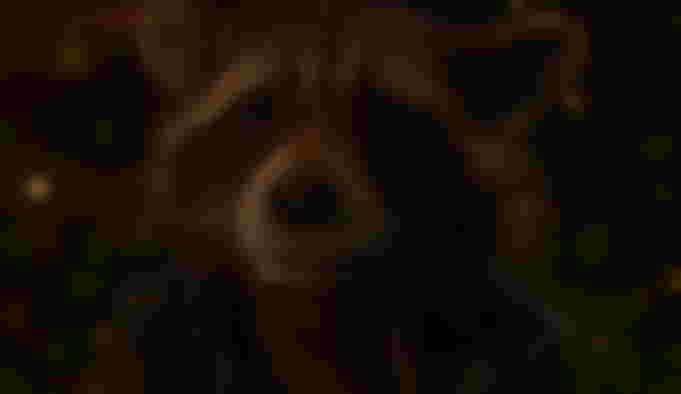 Rocket Raccoon Joins Robert Downey Jr in Awesome Dolittle Poster