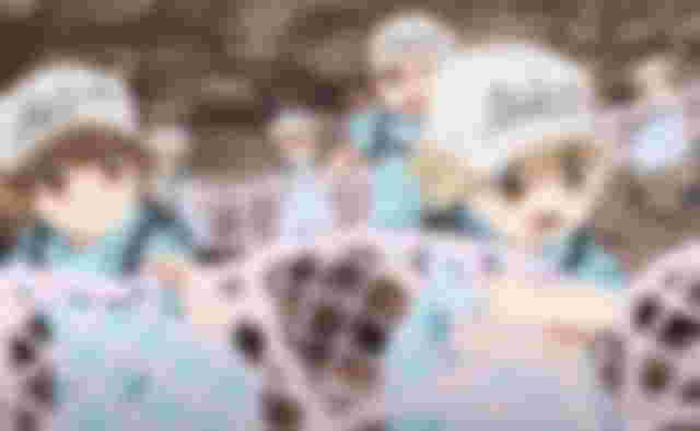 Cells at Work