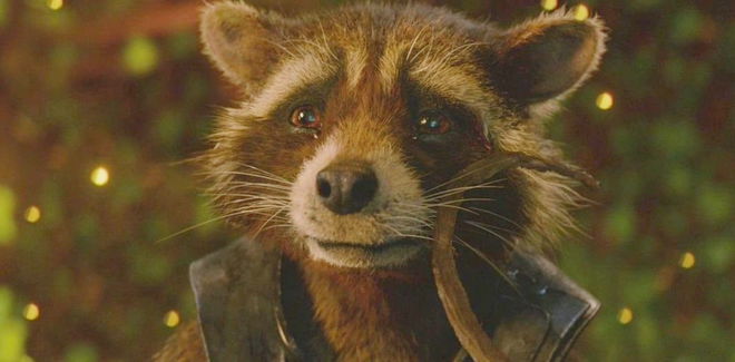 James Gunn Reacts to Fans' Riot Threats if Rocket Dies in Guardians of the Galaxy Vol. 3