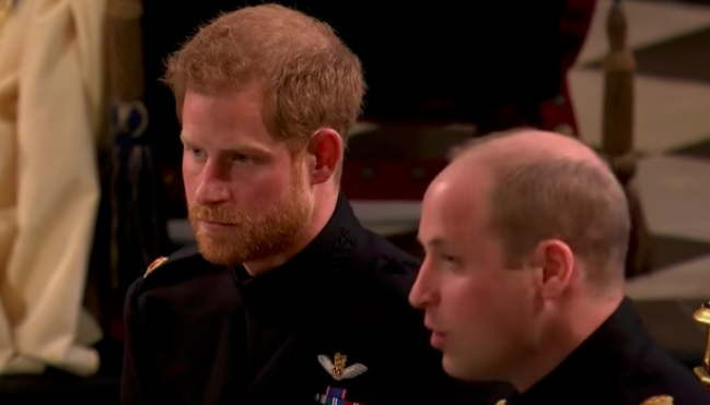 prince-harry-shock-meghan-markles-husband-shades-prince-williams-alarming-hair-loss-in-spare-after-admitting-he-was-doomed-with-the-same-struggles