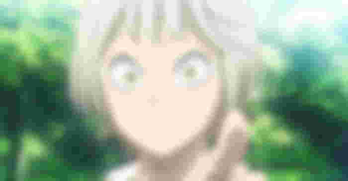 Where to Start Reading Black Clover After the Anime