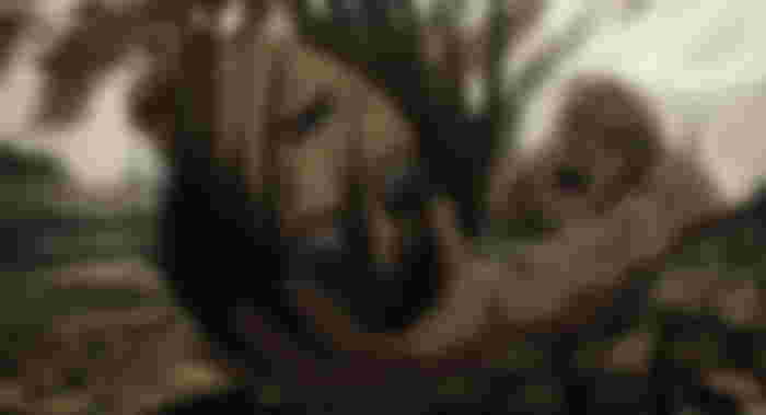 Image from Attack on Titan Episode 78: Is Eren Yeager Dead?