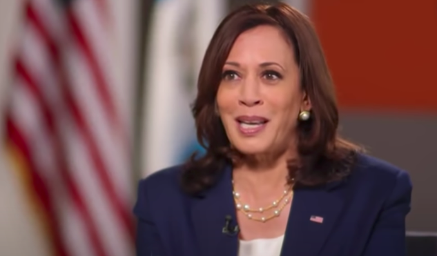 kamala-harris-shocking-heartbreak-vp-marriage-in-crisis-husband-dough-emhoff-sleeps-in-another-bedroom