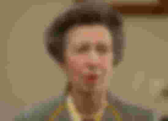 princess-anne-shock-prince-charles-sister-disliked-princess-diana-princess-royal-blamed-william-harrys-mom-following-her-controversial-tell-all