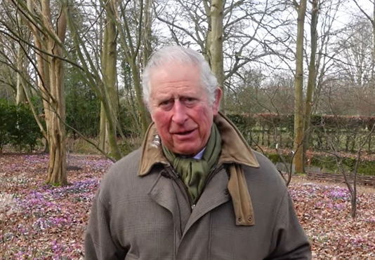 prince-charles-shock-future-king-accused-of-bringing-unnecessary-items-during-flights-queen-elizabeths-successor-reportedly-used-these-special-codes-while-traveling
