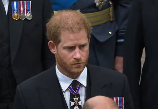 prince-harry-meghan-markle-immediately-returned-to-the-us-after-queen-elizabeths-funeral-sussexes-reportedly-have-not-been-forgiven-by-prince-william-royal-family