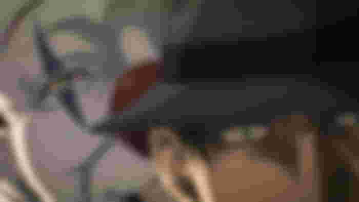 Does Levi Hate His Height in Attack on Titan Episode 87-1