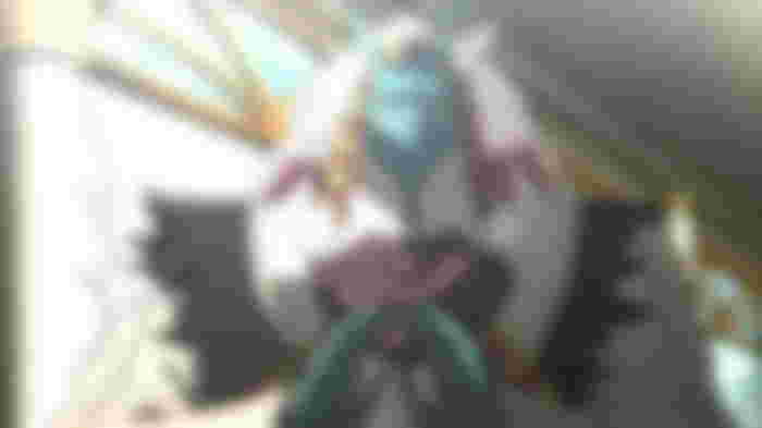 Is Goblin Slayer Light Novel Ongoing