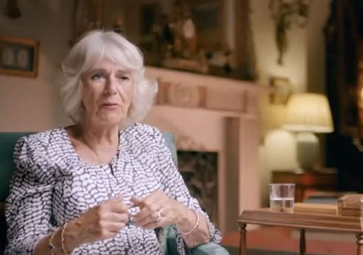 queen-consort-camilla-urged-king-charles-to-have-a-showdown-with-prince-harry-monarchs-wife-allegedly-told-friends-she-wouldnt-allow-the-sussexes-to-wed-if-she-was-queen