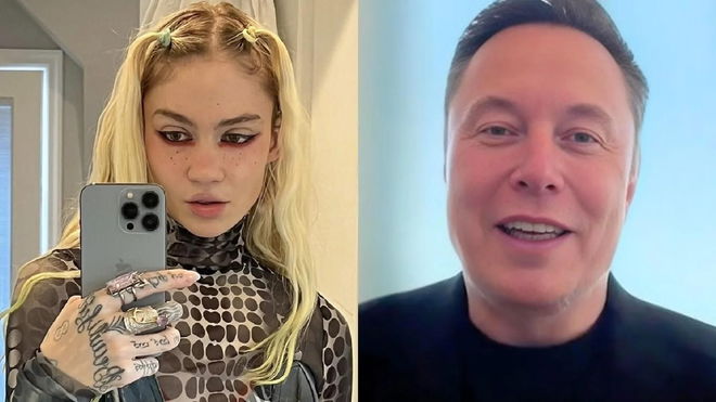 Musk family