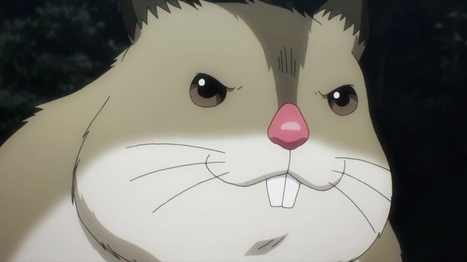 Is Hamsuke Boy or Girl in Overlord?