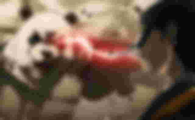 Image from Jujutsu Kaisen 0 Reveals Official Runtime, Hopes for International Release Still High